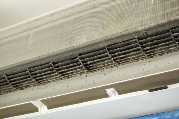 Best Residential Air Duct Cleaning  in Sumter, SC